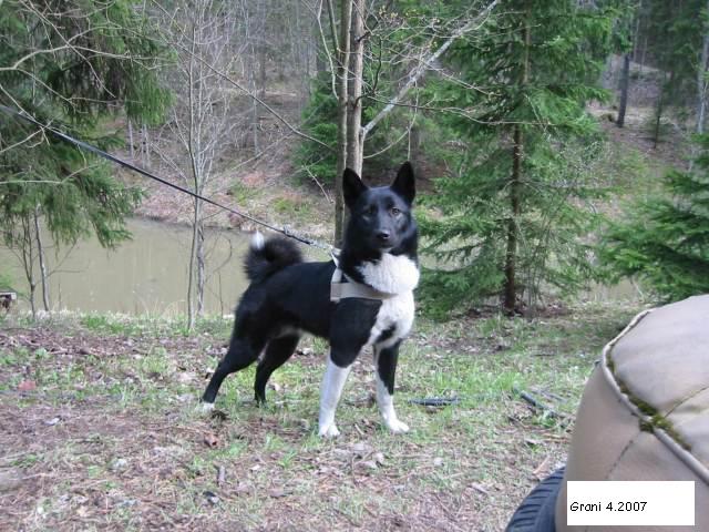 4 0720Grani klakessa666