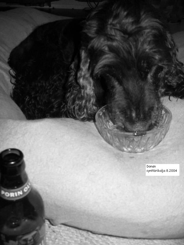 Dona-vaarin208 200420synttäriolut20130 3037