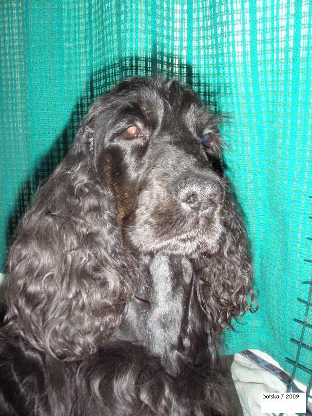 Dotska207 200920P4070359