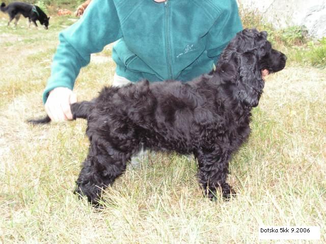 Dotska209 200620PICT0030