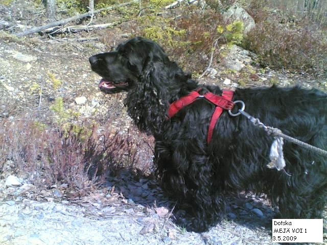 Dotska20MEJÄ20VOI103052009009