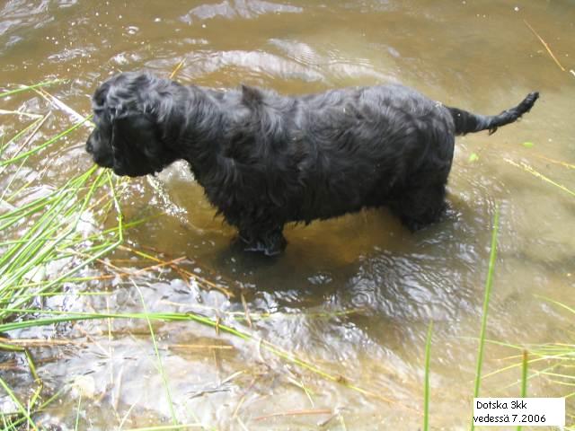 Dotska20vedessä207 200620186 8683