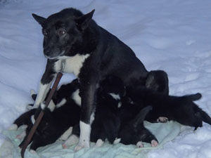 Granin2.pentueen imetys ulkona 12.2014 PC210271