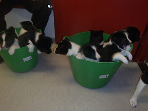 Granin 2pentue saaveissa 1.2014 PC300446