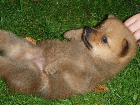 Obra20Pohj KarjPM MEJÄ4 9 2011201102