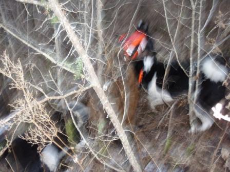 ObraTennoGrani201 201220020