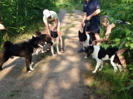 PenaObraOpaViiru20P7081233