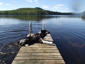 Tera uimasta laiturille 6.2014 P6032550